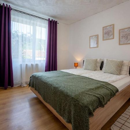 Nya Apartment Sighisoara Luaran gambar